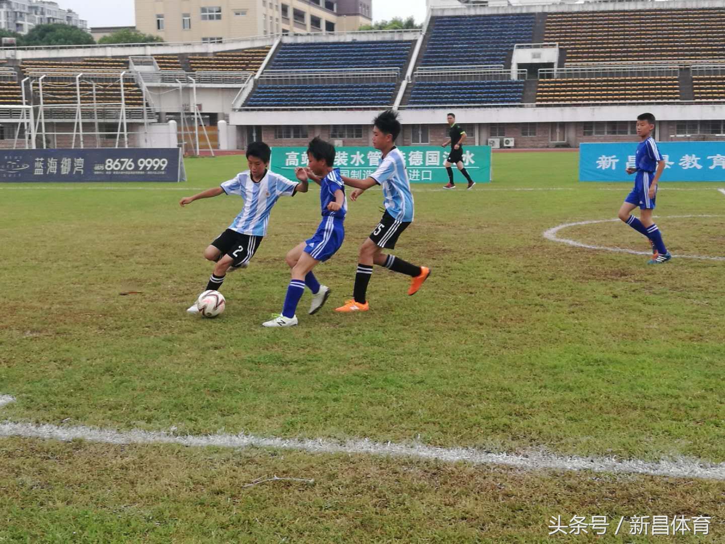 三年磨剑取佳绩,三年磨剑今朝试锋芒