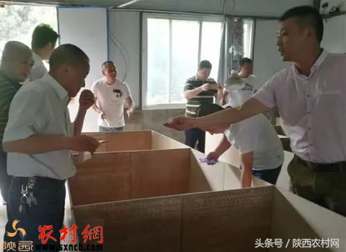 农村这几个创业项目,你还不知道吧?