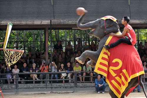 芭提雅吃不完的美食,芭提雅晚上有什么可玩的