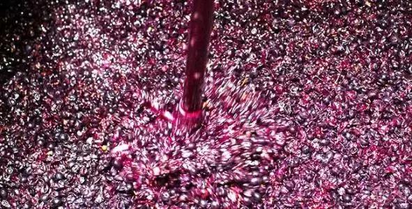酒庄葡萄酒的酿造方法及制作步骤,李子柒葡萄酒的酿造方法
