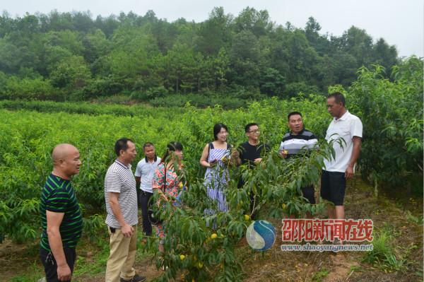 新邵调度河东四乡镇脱贫攻坚工作,政协视察农村农业座谈发言