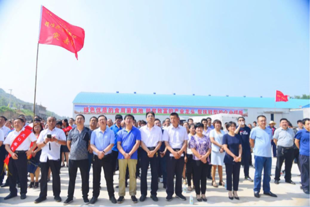 鑴辫传鏀诲潥鏀跨瓥灏忛淇¤捶,鑴辫传鏀诲潥灏忛淇¤捶鏀跨瓥