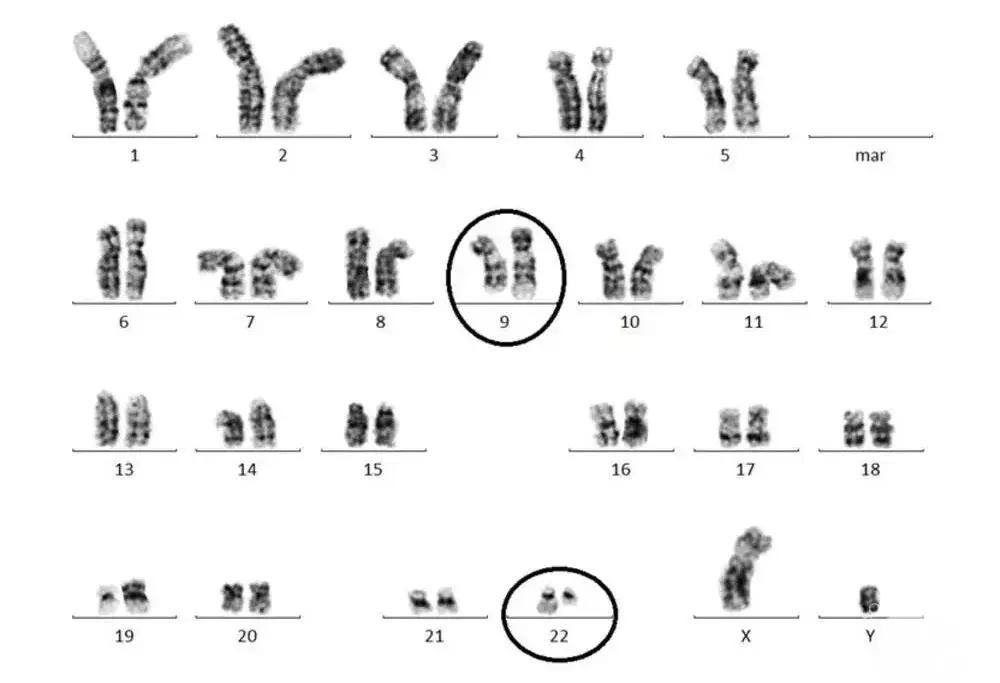 神药治百病真相,特效药为什么那么神奇