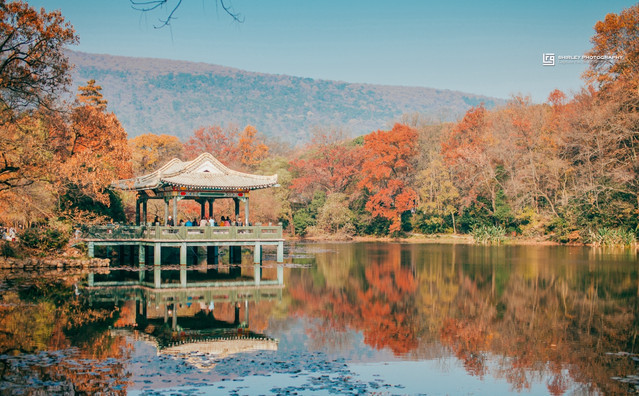 南京比较火的小众东西,南京比较好玩又小众的地方