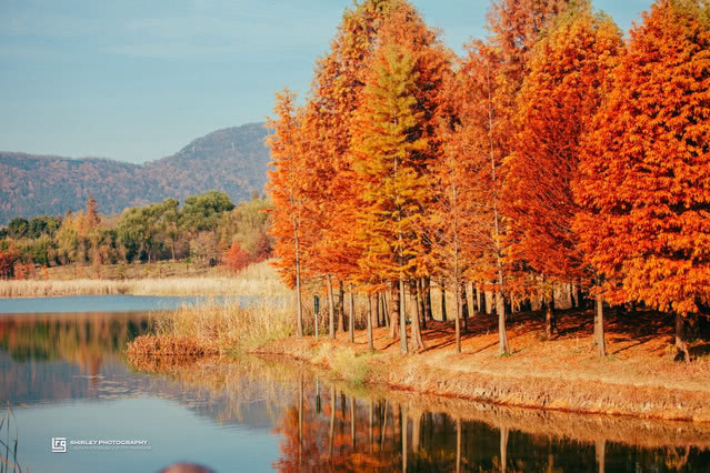 南京比较火的小众东西,南京比较好玩又小众的地方