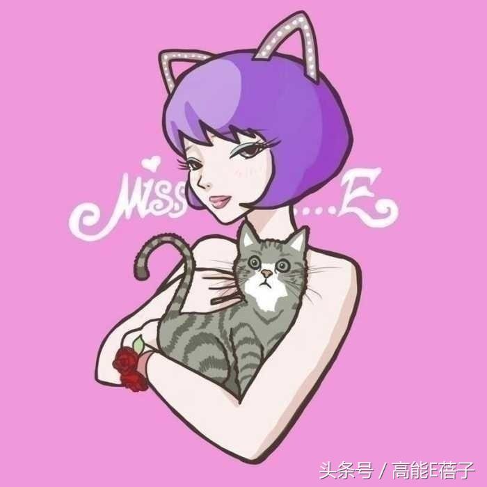 陈赫岳云鹏周六夜现场大张伟,买版权的综艺