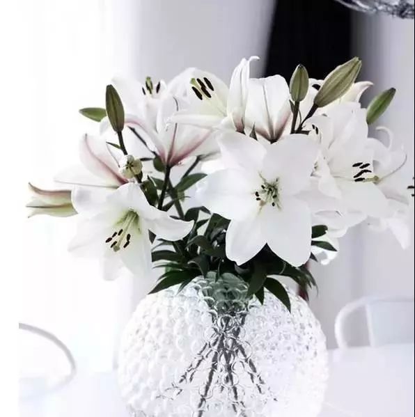 22年世界杯各国球衣,世界杯各国球衣上都有几颗星