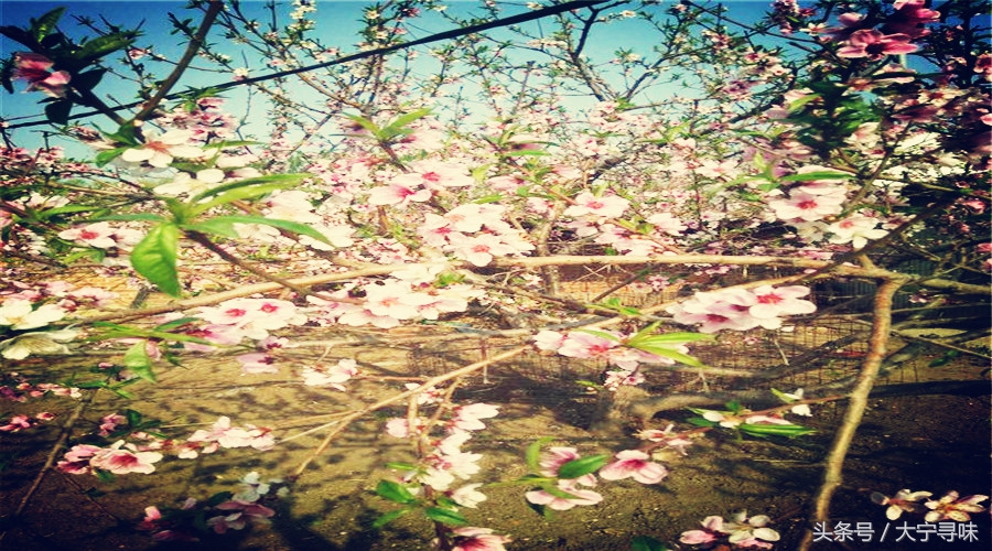 为什么大城市的人定居在小城市,山海关买房子怎么样