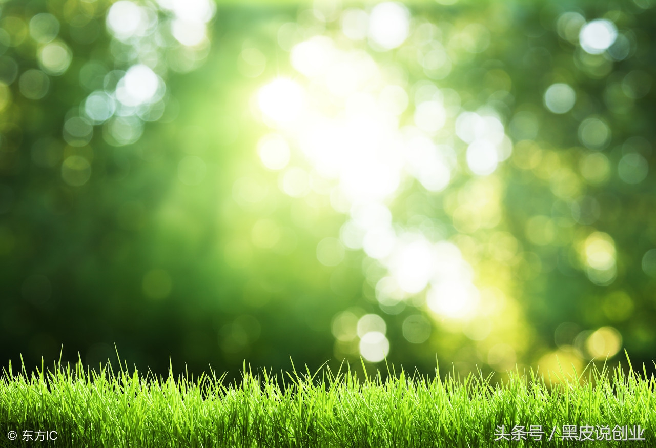 什么是互联网营销,什么是互联网简单介绍