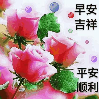 人生要懂得放下好好生活的句子,舍得心静如水