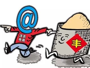 农业未来5年新模式,农业组织化的思考