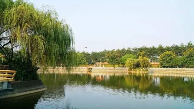 东莞哪个镇最富裕,东莞哪个片区最富