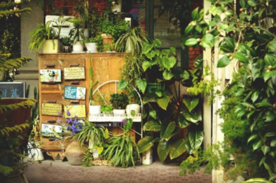 厦门去三亚旅游攻略必去景点,厦门三亚旅游攻略必去景点