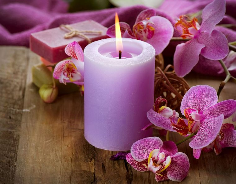 家里木地板潮湿生虫子如何解决,家里木地板太干燥了怎样增加湿度