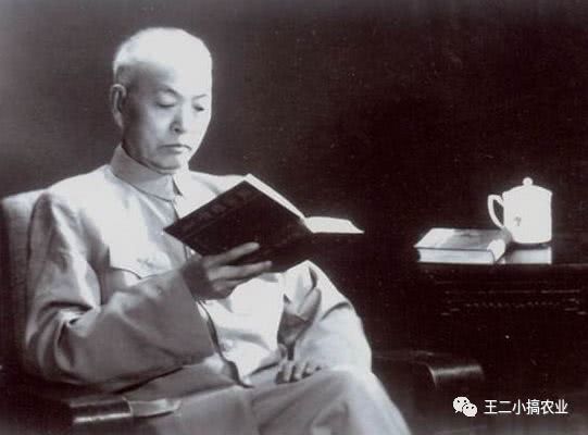 农民版我不是药神,我不是药神朱耕佑片段