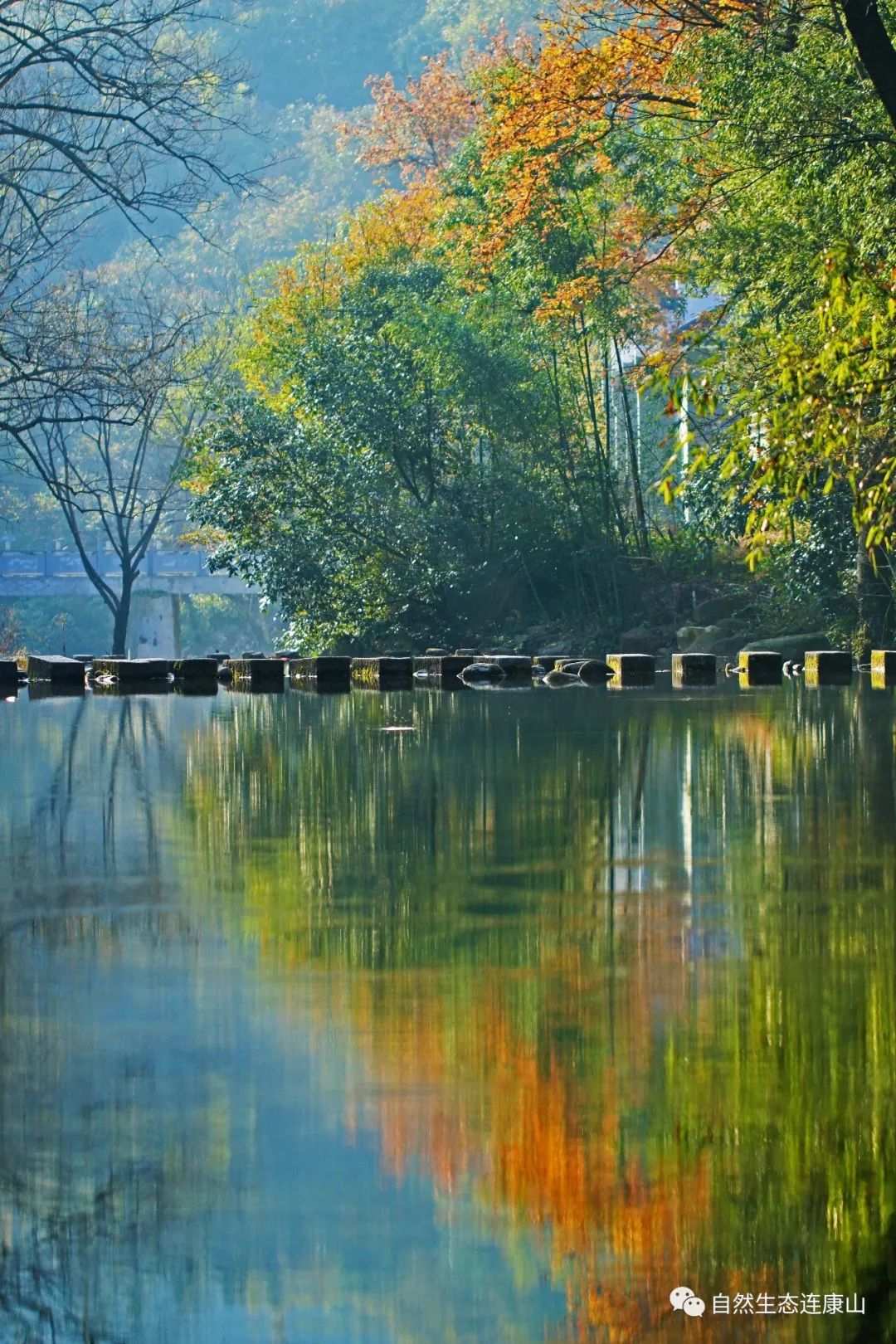 负氧离子超过50000会醉氧吗,负氧离子依然很高