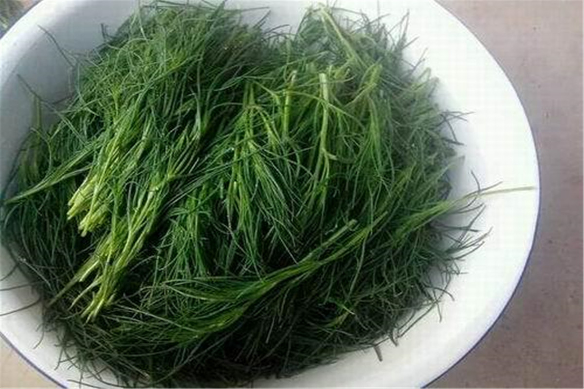 野菜降血压功效有哪些,有降血压功效的野菜