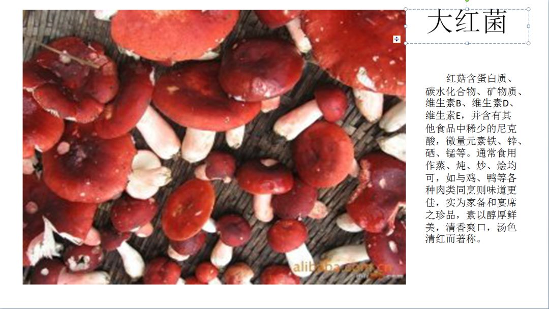 云南又到“生死存亡”季！为啥年年有人冒死吃这货？看过来！