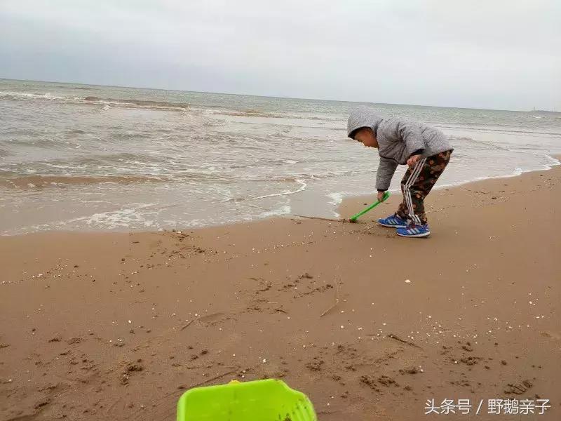 去东戴河玩好不好,现在去东戴河玩有什么危险吗