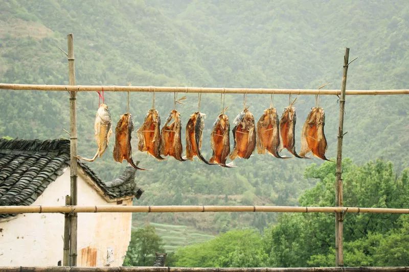 10月篁岭一日游最佳路线,篁岭旅游摄影攻略