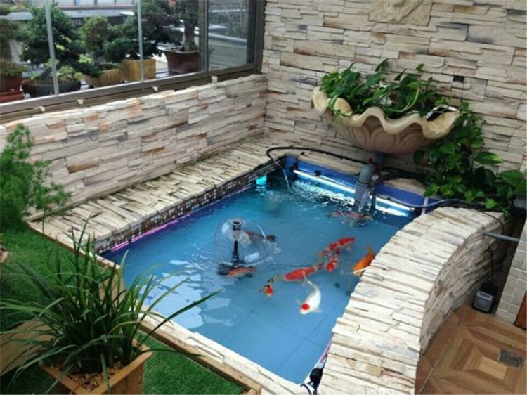 水养绿萝可以养小虾吗,室内养鱼能养绿萝吗