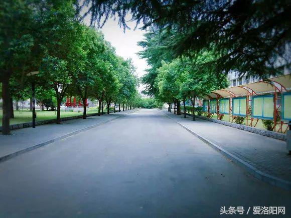 再见再见渡边淳一小说简介,再见原作