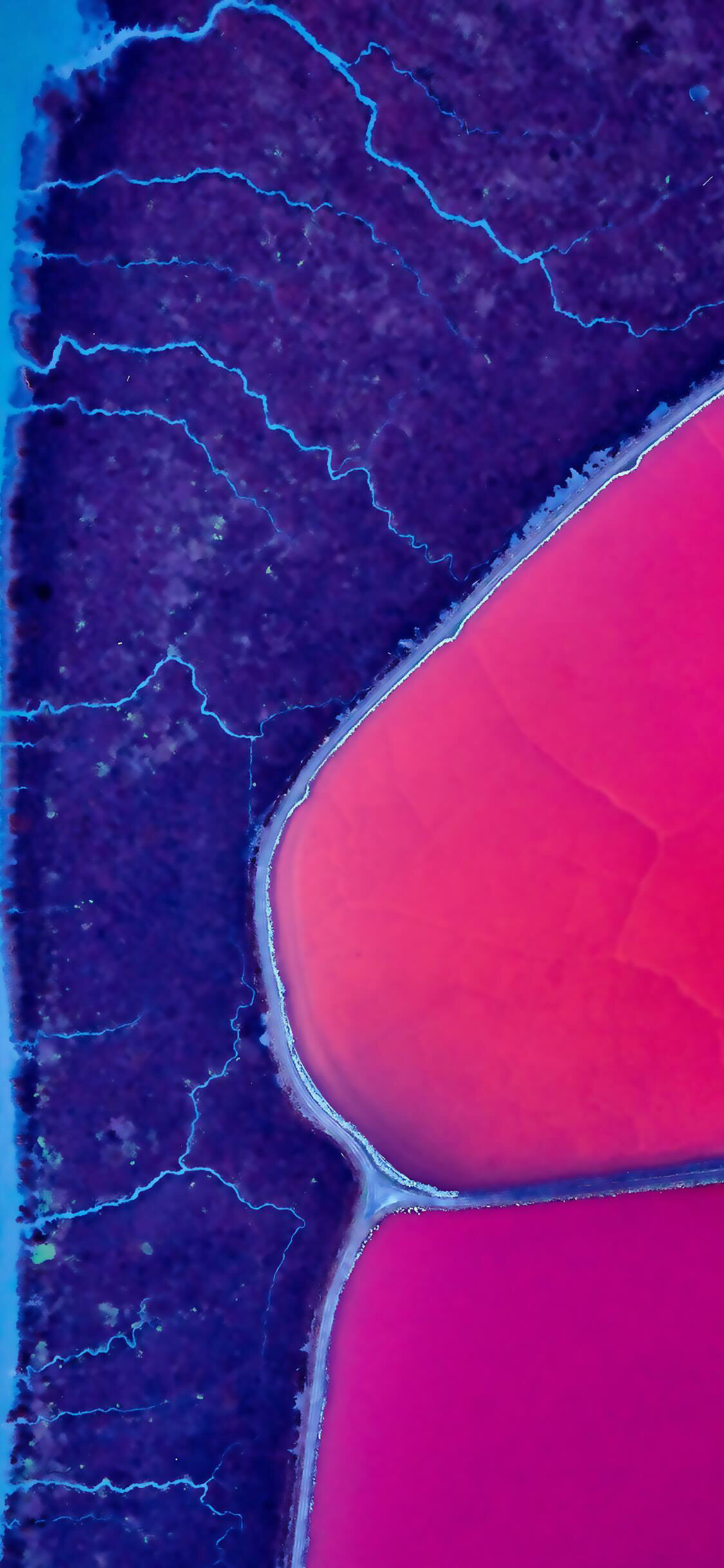 苹果x高清壁纸全屏经典,苹果x高清壁纸