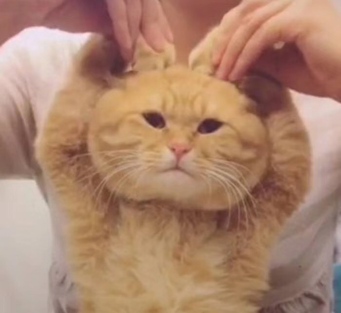 营销推广表情包怎么做,如何利用表情包进行营销引流