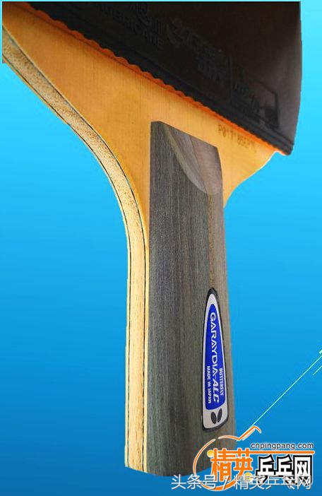 让蝴蝶新款盖雷迪(Garaydiaalc)来诠释,什么叫均衡既是稳定