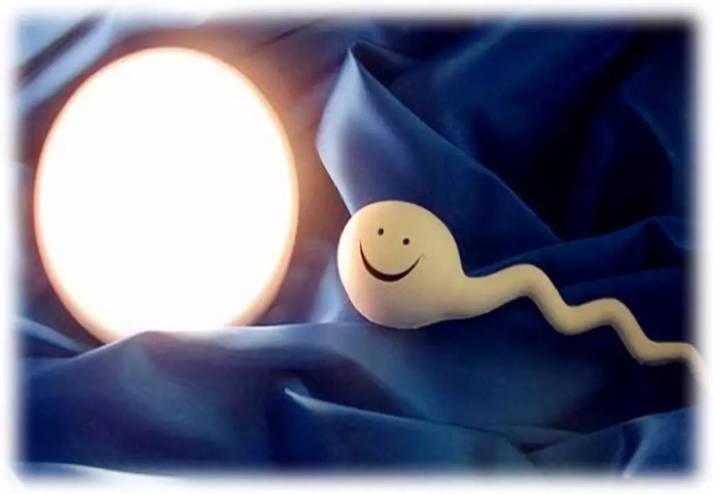 医生治疗不孕不育的案例,不孕不育医生性侵事件