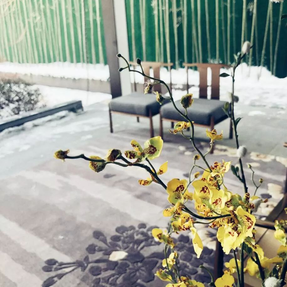 扬州看房万科第五园,扬州万科第五园装修