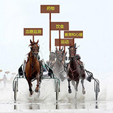 哪些水果和蔬菜能降低血糖,哪些水果蔬菜对降血糖有帮助