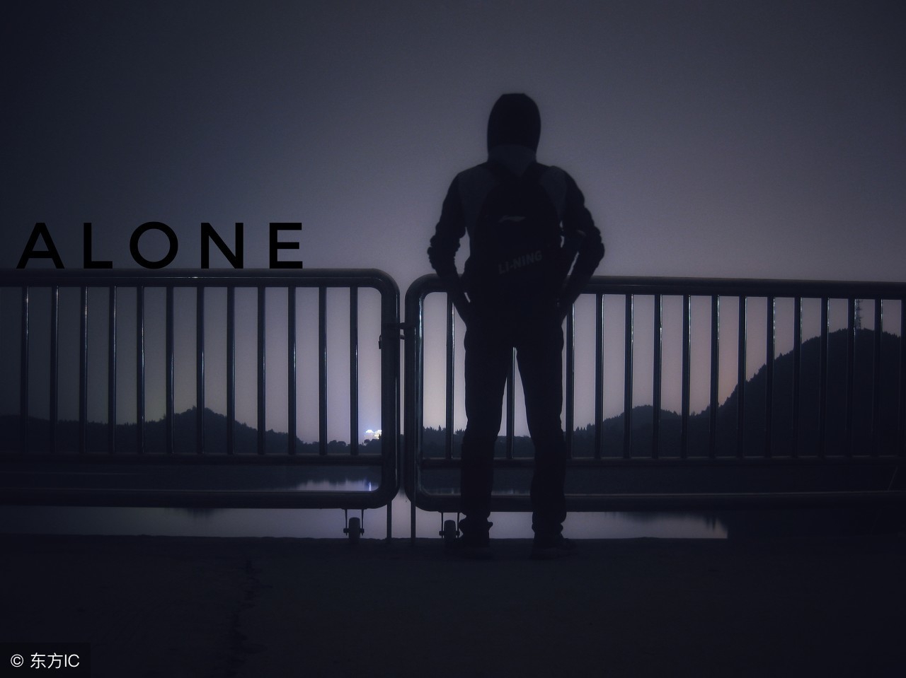 孤独的人都曾梦见阳光,阳光之后就不再孤独