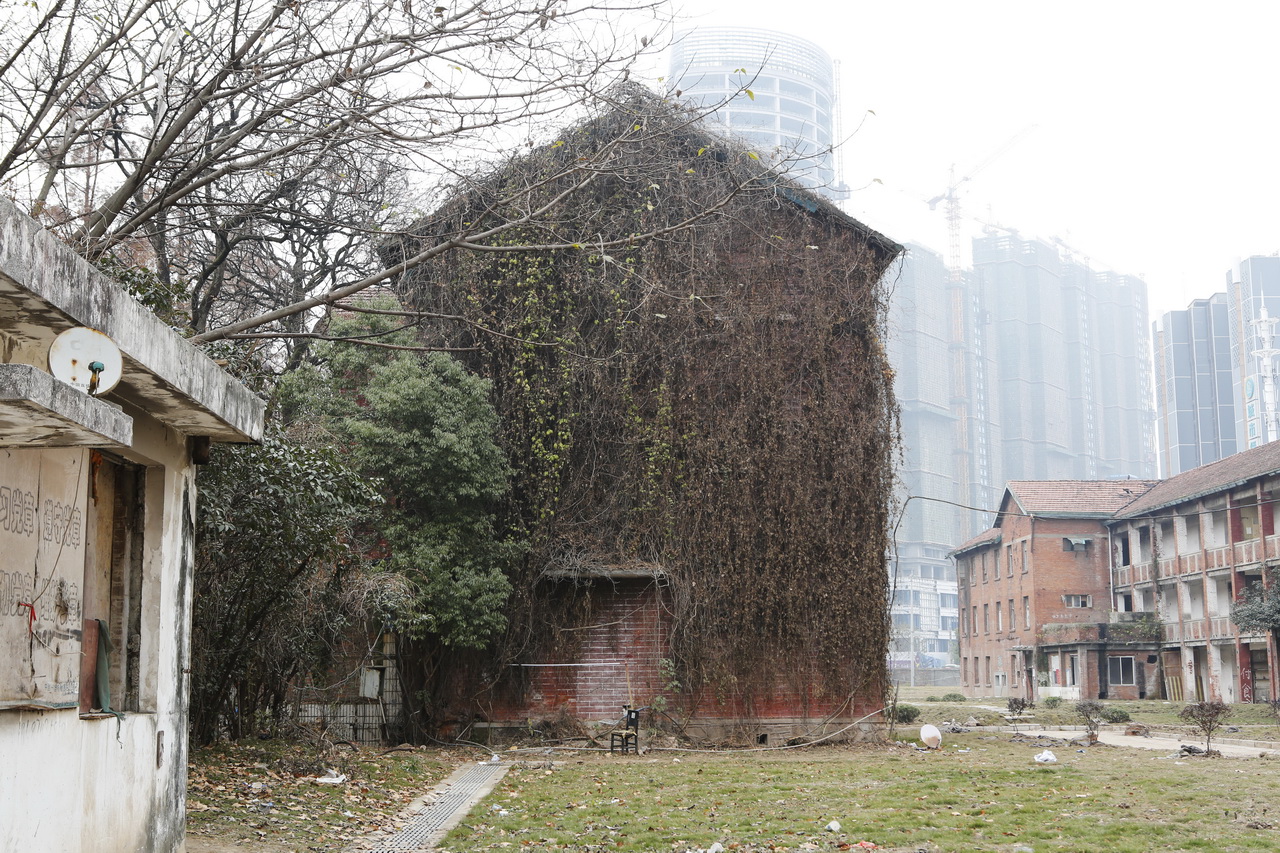 一冶机关大院的红房子,大武汉大院子别墅