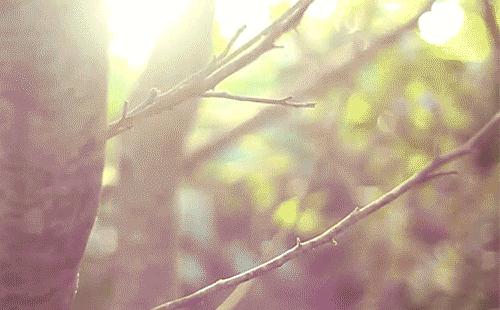 桃源双洲公园门票多少钱,桃源双洲城市生态公园