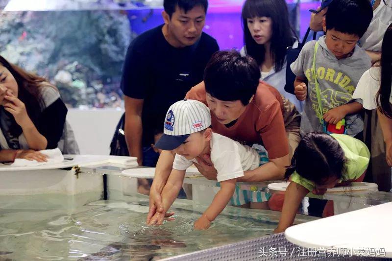 带娃去日本,照着做就对了