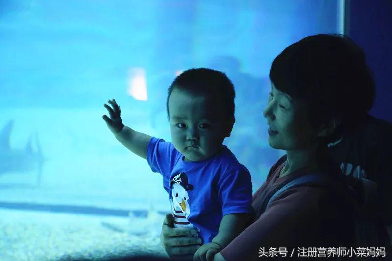 带娃去日本,照着做就对了