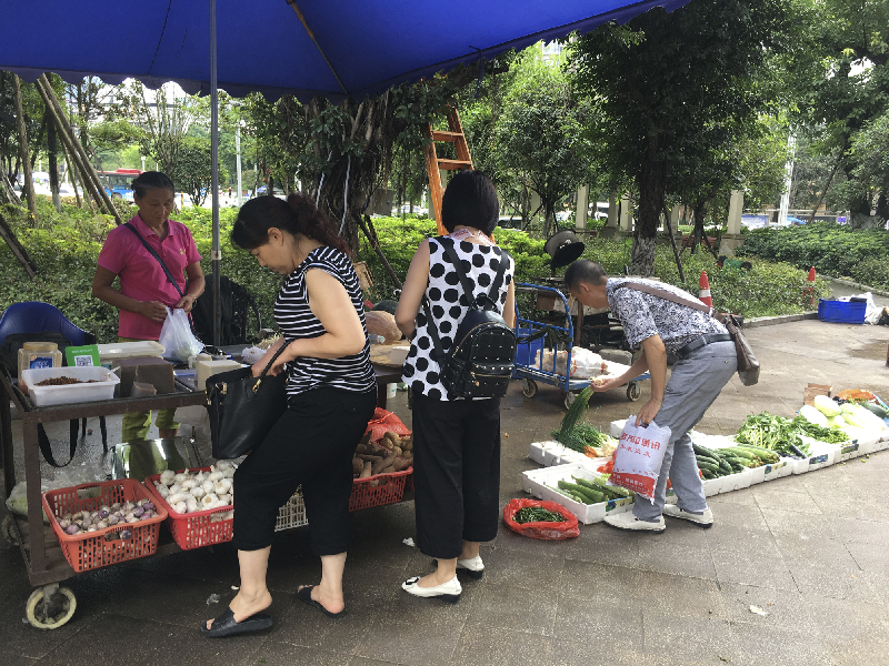 一声叹息！西外国际新城往昔美丽如公园今朝“新城”变“农场”