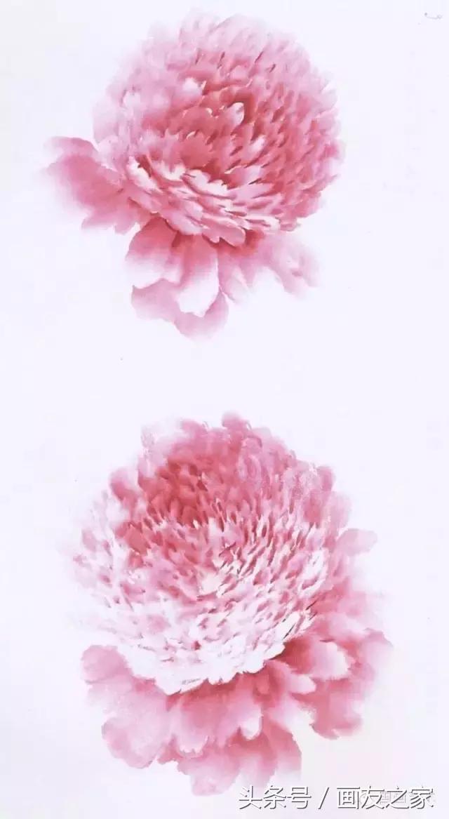 画写意牡丹用生宣纸还是熟宣纸,画写意牡丹用什么毛笔最好