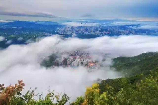 我叫深圳，这是我的个人简历，请查看！