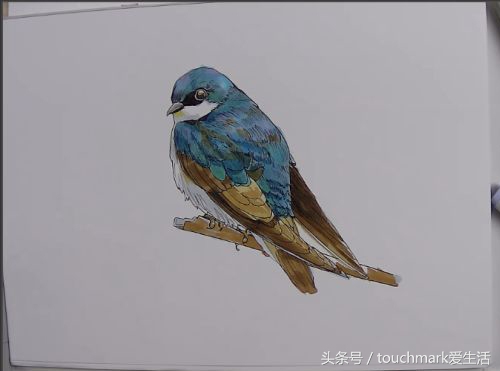 马克笔手绘教程蓝铅笔,马克笔简单手绘画教程图片