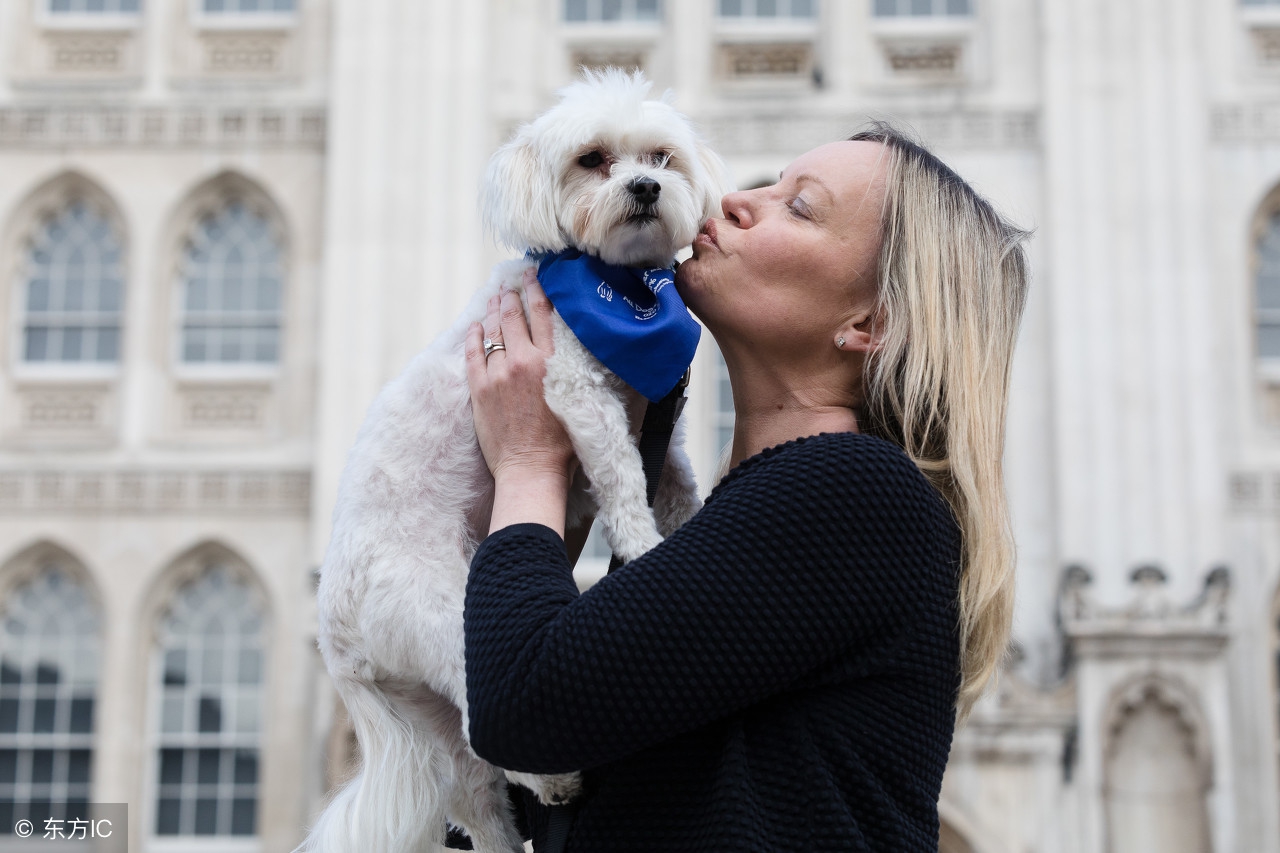 备孕干货孕前检查,备孕困难排卵期怀孕知识分享