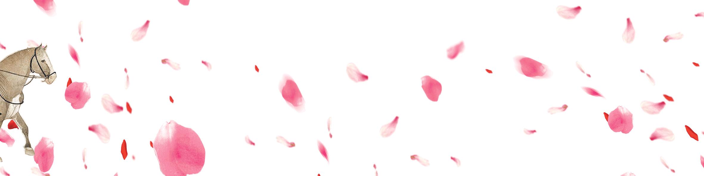 黄脸婆英语俚语,黄脸婆100句经典语录