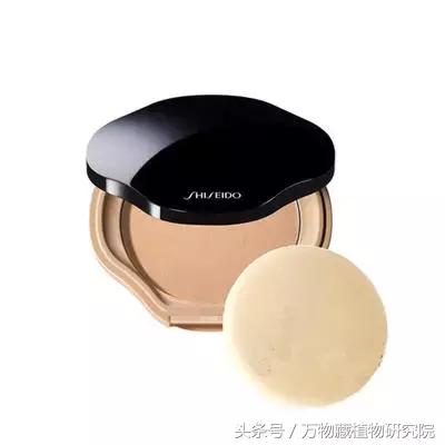 鎶よ偆鍝佺敤鐨勪腑鑽夎嵂閮芥湁鍝簺,鐪熸鐨勪腑鑽夎嵂鐨勬姢鑲ゅ搧