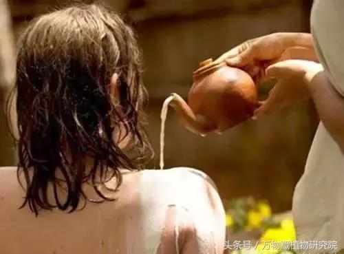 鎶よ偆鍝佺敤鐨勪腑鑽夎嵂閮芥湁鍝簺,鐪熸鐨勪腑鑽夎嵂鐨勬姢鑲ゅ搧