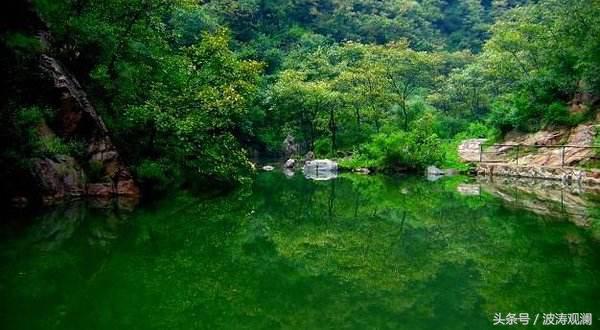 河南济源九里沟,济源九里沟森林公园