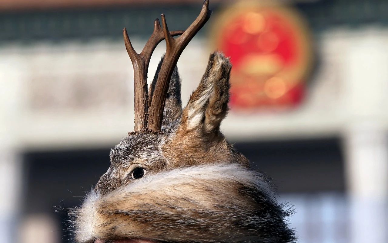 中国少数民族的独特生活,中国北方少数民族真实生活