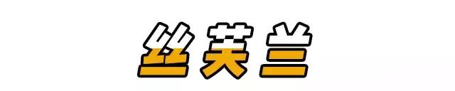 假化妆品有哪几种,假的化妆品到底能不能用