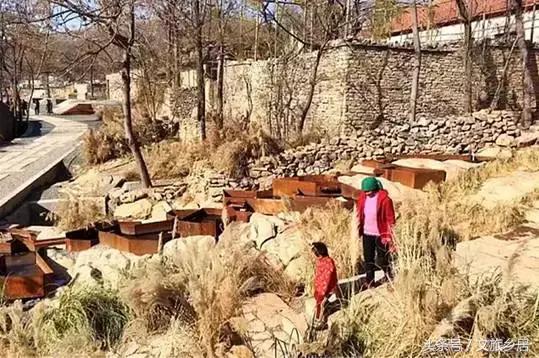 一个80后女大学生拿到！成功打造了山东省唯一国家级田园综合体