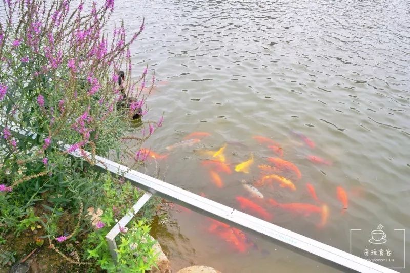 北京春晖园,北京春晖园随园